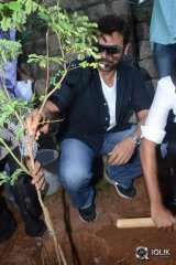  Venkatesh At Haritha Haaram Event